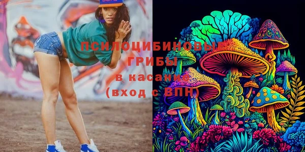 дживик Армянск