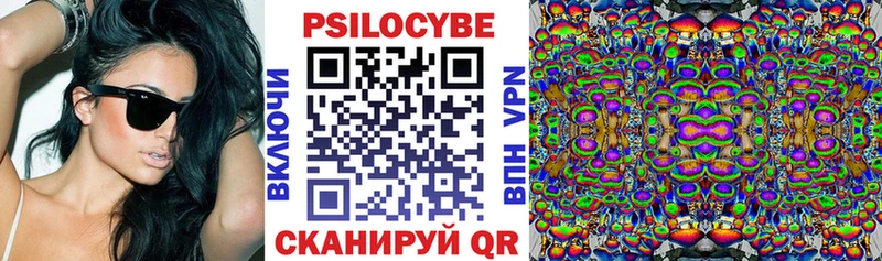 Купить закладки  Усть-Кут  Псилоцибиновые грибы Cubensis 